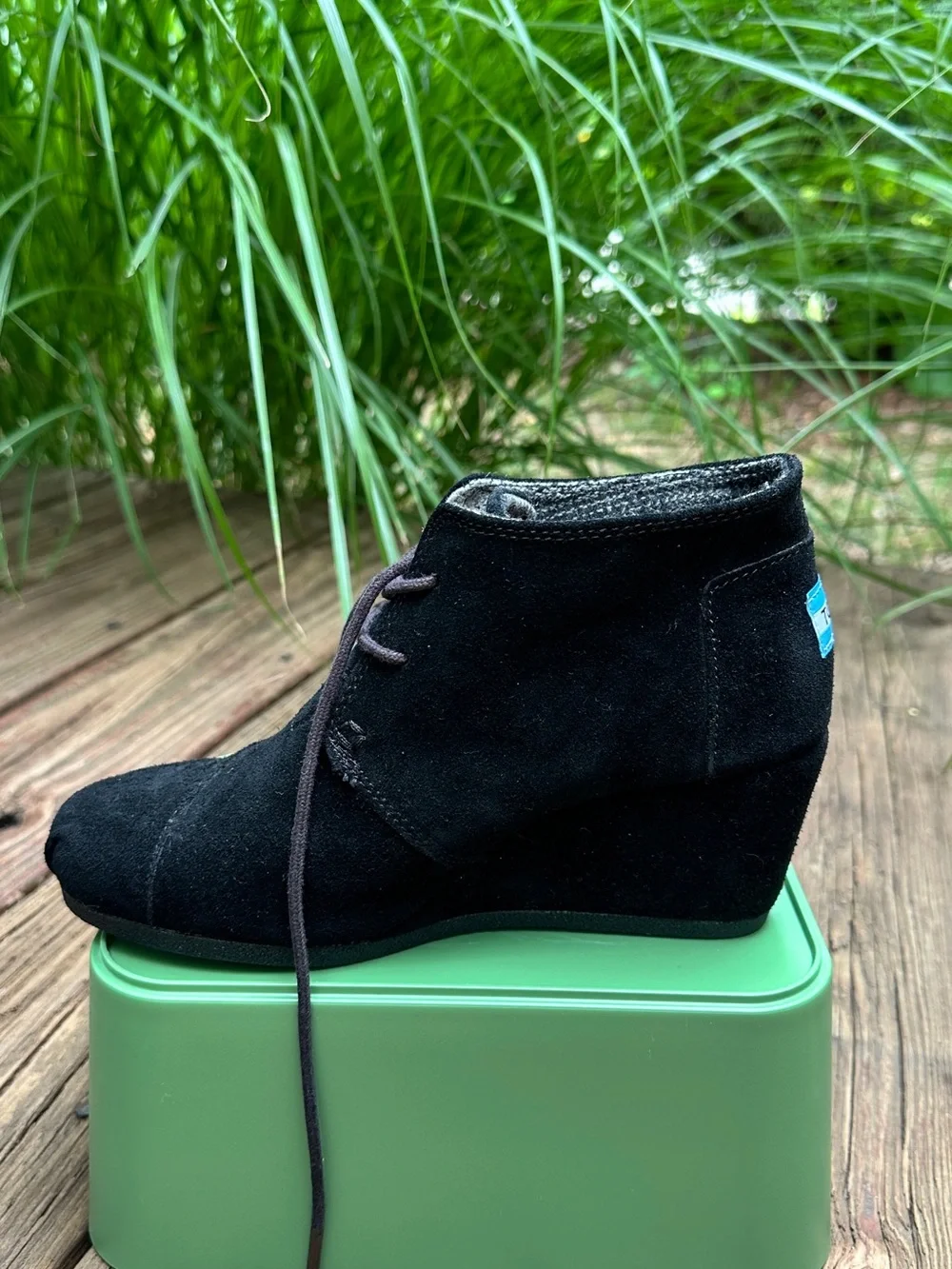 Toms desert wedge